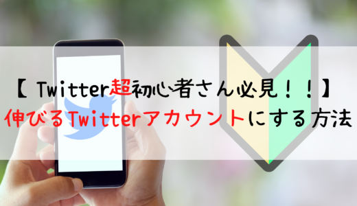【Twitter超初心者必見！】伸びるTwitterアカウントにする方法。